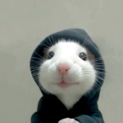 Hoodrat Logo
